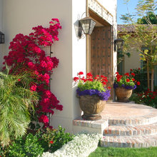 Friedman yard ideas