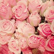 Foto de Joory Rose
