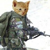 Foto de Phil Norris

