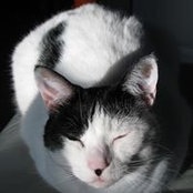 Cathy Newman's photo