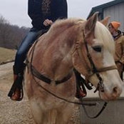 Jessica Mentzer Baccus's photo