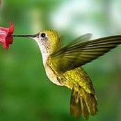 Foto von Lori Sullivan