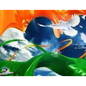 Vishnu Chakri's photo