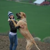 Kim Payette's photo