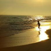 Kelly Grasso's photo