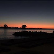 Julia Sawabini's photo