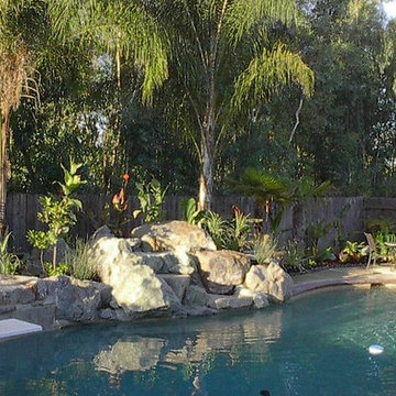 Gallery -Tropical/ Mediterranean