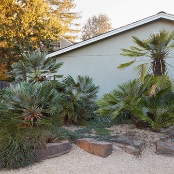 A garden for all reasons in Menlo Park