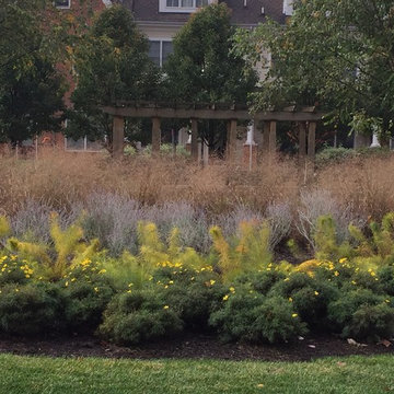 Pollinator Garden- September