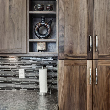 Saskatoon, Renovation - Terra