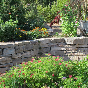 Vegetable garden