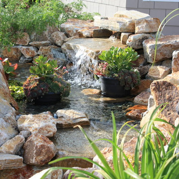 Water Features & Ponds