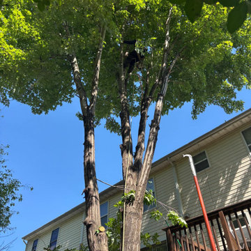 Complete Outdoor Property Improvement and Tree Service