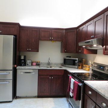 PRIVATE RESIDENCE - LIVONIA