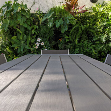 Courtyard Garden III