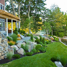Landscape - far side of driveway