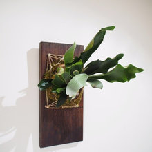 Living Sculptures