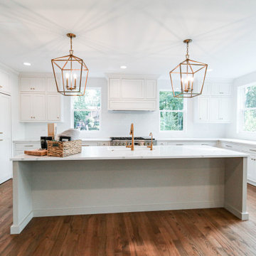 Modern Farmhouse Modified Amelia | Naperville, IL