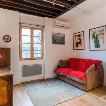 Parisian Living Rooms
