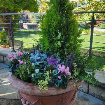 1 of A Kind Landscape Design, Construction, & Boutique Maintenance