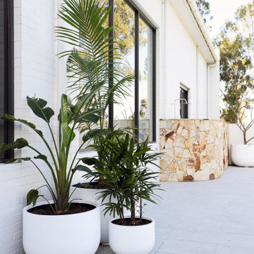5 Simple Steps to Find the Perfect Pots and Planters