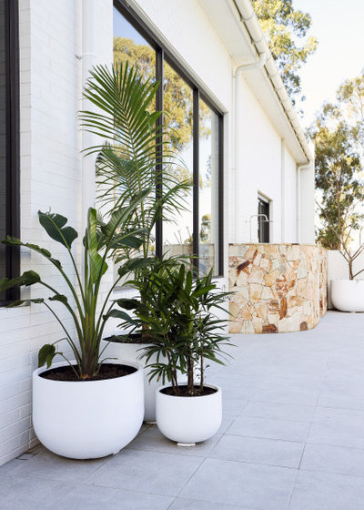 Contemporary Patio by Pots Wholesale Direct