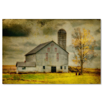 'Old Barn on Stormy Afternoon' Canvas Art by Lois Bryan
