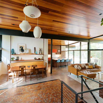 Mid-Century Home Renovation