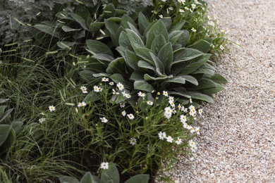 Inspiration for a landscaping in Austin.