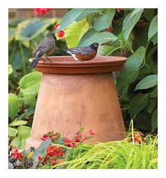 hollow bird bath