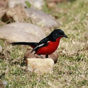 Robyn Sheiniuk's photo
