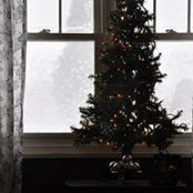 Brandi Watson's photo