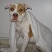 Lauren Mariotti's photo