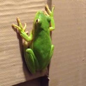 Christene Chambless's photo