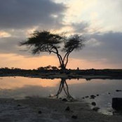 Linda Hussey's photo