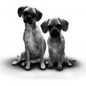Rhonda Waggoner's photo