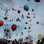 Michelle Shrader's photo