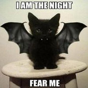 Cindy Heil's photo
