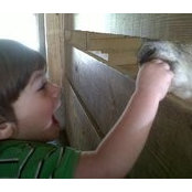 Sarah Dweck's photo
