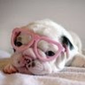 Emily Hollocher's photo