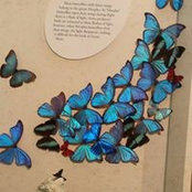 Janie Johnson's photo
