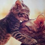 Tammy Maurano's photo
