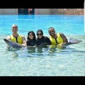 Amr Serafy's photo