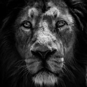 Brad Jolley's photo