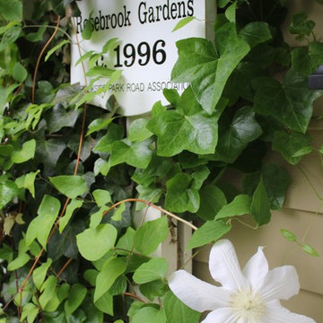 Rosebrook Garden 2017 Garden Tour