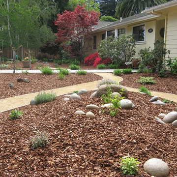Menlo Park Lawn Replacement