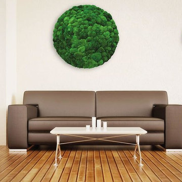 Preserved Plants Moss Design