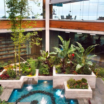 Tropical Modern Landscape