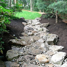 Ditch Landscape