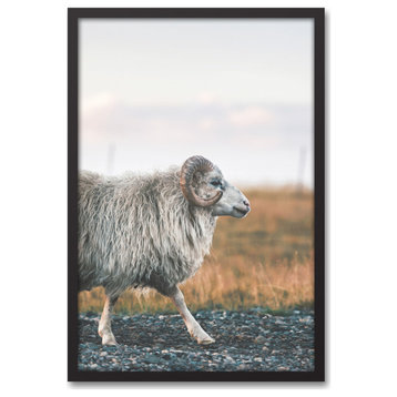 Goat Walking Photography 20x30 Black Framed Canvas